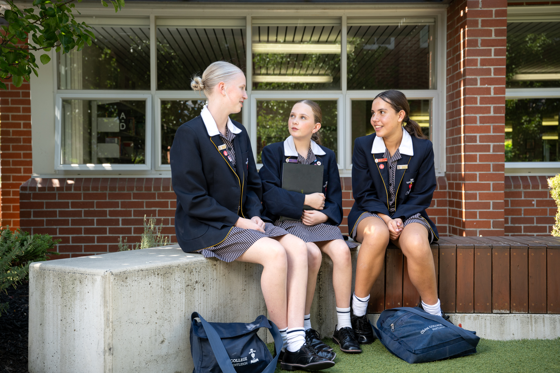 Vol. 54 No. 11 - Student Wellbeing News